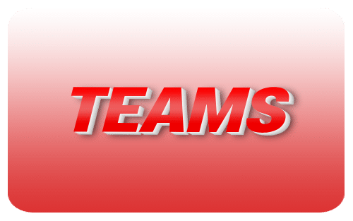 TEAMS